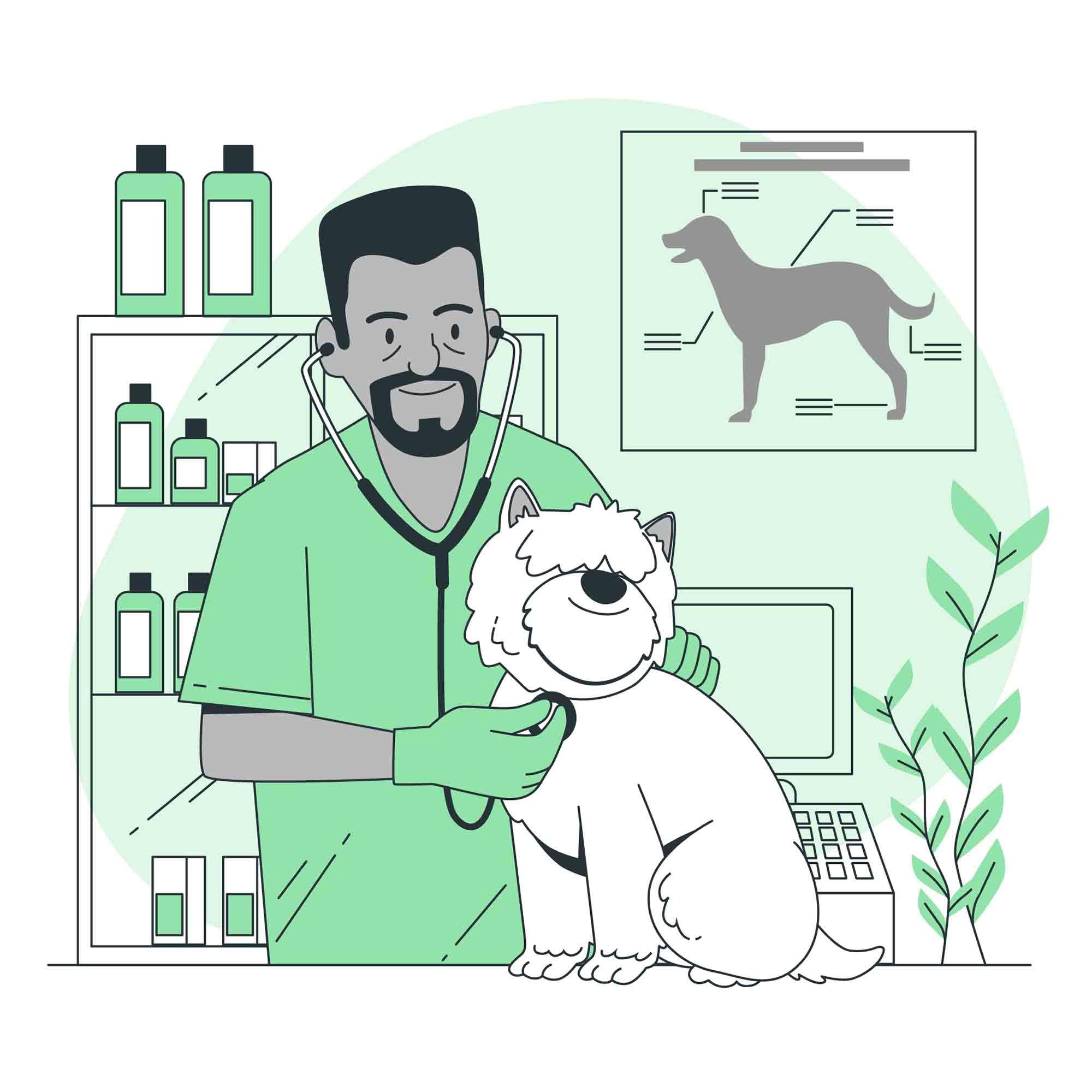 Veterinary Illustration